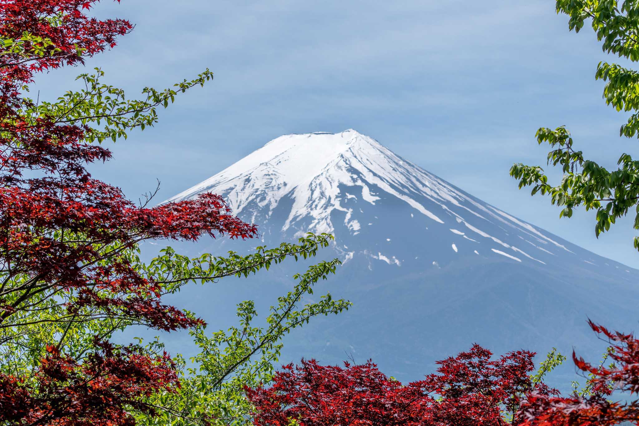 Japon